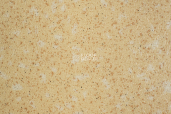 Линолеум Tarkett Acczent Pro Aspect 5 фото 1 | FLOORDEALER