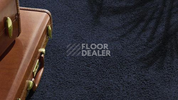 Vorwerk Exclusive1009/Elara 3l75 фото 6 | FLOORDEALER