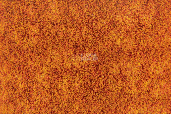 Forbo Flotex Colour s 246025 Metro Tangerine фото 2 | FLOORDEALER