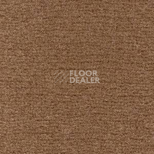 Ковролин Radici Maratea 4796 фото 1 | FLOORDEALER