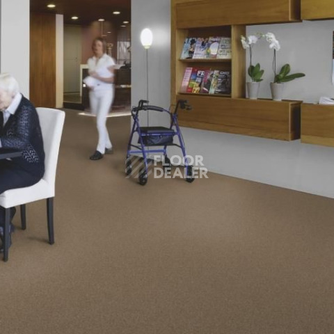 Forbo Tessera Basis 378 Malt фото 2 | FLOORDEALER