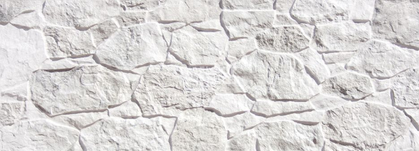 Керамогранит Terranova 202718 389 White 32x89 фото 1 | FLOORDEALER