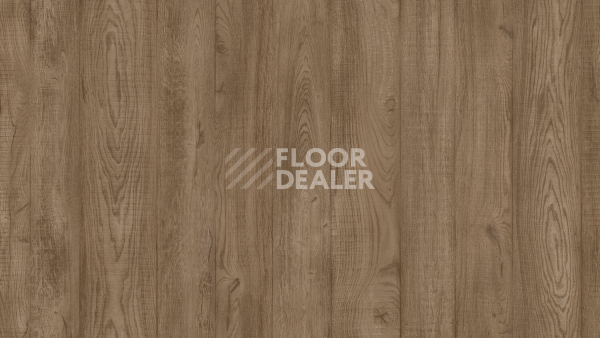 Линолеум Tarkett Philosophy COEN 2 фото 1 | FLOORDEALER