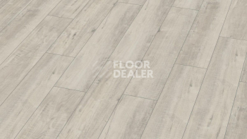 Ламинат Kronotex Exquisit Plus d4787 Дуб Гала Белый фото 1 | FLOORDEALER
