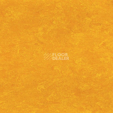 Линолеум Gerflor Marmorette DLW 2.5mm 0172 Papaya Orange фото 1 | FLOORDEALER