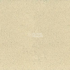 Ковролин Desso Asteranne 2918 фото 1 | FLOORDEALER