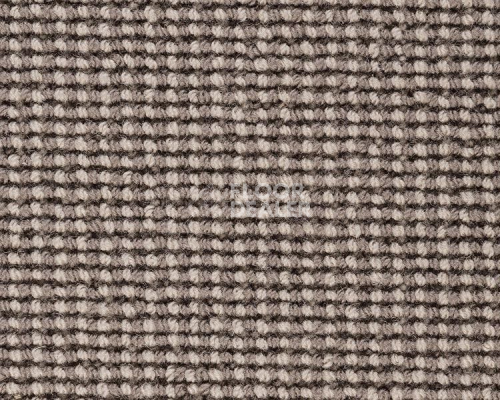 Ковролин Best Wool Pure Savannah 182 фото 1 | FLOORDEALER