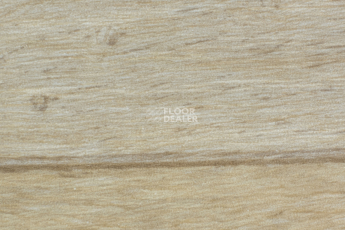 Forbo Emerald Wood Fr 8703 фото 1 | FLOORDEALER