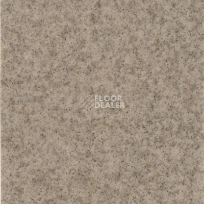 Линолеум Grabo Terrana Top Extra 4546-259 фото 1 | FLOORDEALER