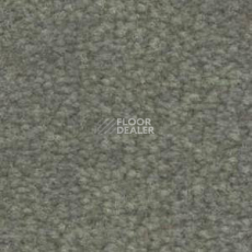 Ковролин Shaw Bradberry 30 752 фото 1 | FLOORDEALER