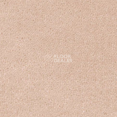 Ковролин Creatuft Sheba 1108 фото 1 | FLOORDEALER
