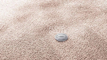 Ковролин Vorwerk Superior 1067 Mira Vorwerk Myrana фото 1 | FLOORDEALER