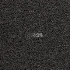Ковровая плитка Modulyss Eco 100 С 993 фото 1 | FLOORDEALER