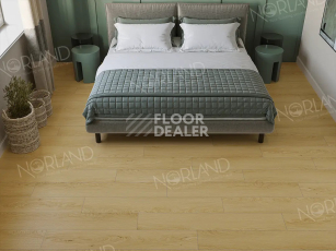 Norland Elegant 8мм Дуб Элмер LF301-08 фото 2 | FLOORDEALER