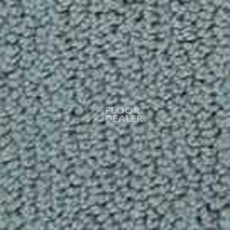 Ковролин Infloor Color 53 555 фото 1 | FLOORDEALER