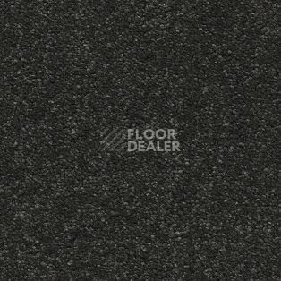 Ковролин AW Vivendi Vibes 98 фото 1 | FLOORDEALER