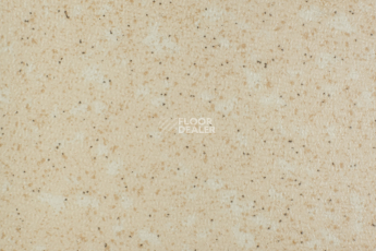 Линолеум Tarkett Acczent Pro Aspect 4 фото 1 | FLOORDEALER