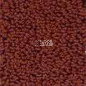 Ковролин Infloor Color 53 130 фото 1 | FLOORDEALER