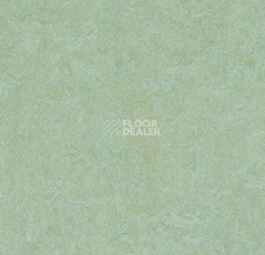 Кварцвиниловые полы Forbo Marmoleum Modular Colour 3882 фото 1 | FLOORDEALER