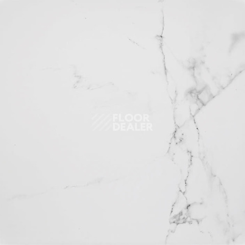 Керамогранит Marmol Carrara 596x596 Carrara Blanco Brillo L 59,6x59,6 фото 1 | FLOORDEALER