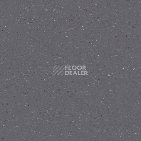 Линолеум Gerflor Colorette 0080 Elephant Grey фото 1 | FLOORDEALER