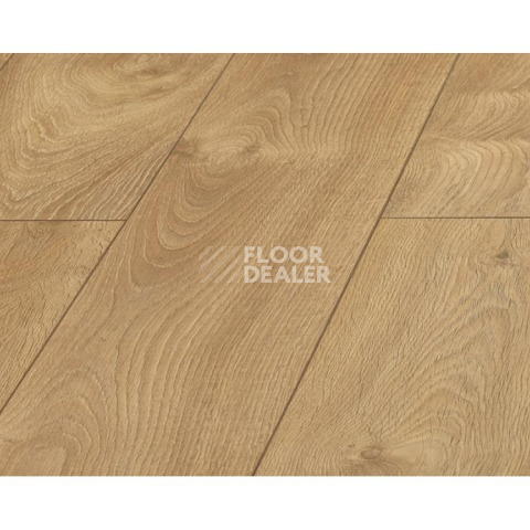 Ламинат Kronopol Platinium Cuprum d3033 Дуб Ливорно фото 1 | FLOORDEALER