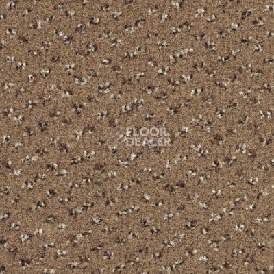 Ковролин Desso Trapez-Brlm 2043 фото 1 | FLOORDEALER