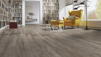 Kronotex Aqua Amazone 10мм D3662 Дуб Монтмело серебряный фото 3 | FLOORDEALER