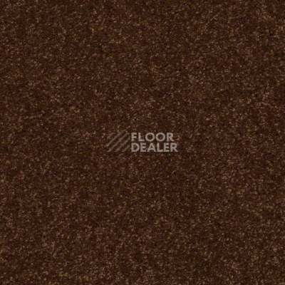 Ковролин Shaw Design Texture Platinum 795 фото 1 | FLOORDEALER
