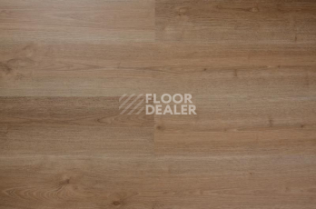 Кварцвиниловые полы Evofloor Optima Click 4.2мм Дуб Миндаль фото 1 | FLOORDEALER