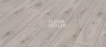 Ламинат Kronotex Aqua Amazone 10мм D3239 Дуб Престиж белый фото 1 | FLOORDEALER