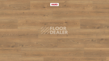 Haro Tritty 100 4V Дуб Флавия Натур 544708 фото 2 | FLOORDEALER