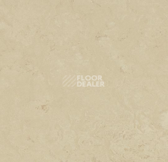 Линолеум Forbo Marmoleum Sport 83711 фото 1 | FLOORDEALER