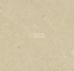 Линолеум Forbo Marmoleum Sport 83711 фото 1 | FLOORDEALER
