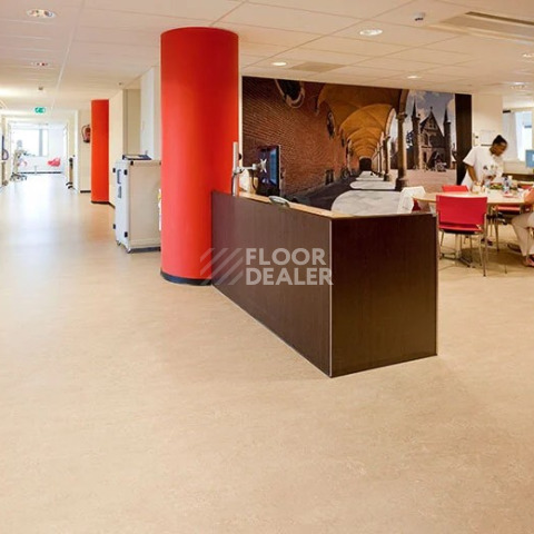 Forbo Marmoleum Marbled Real 3120 / 312035 Rosato фото 2 | FLOORDEALER