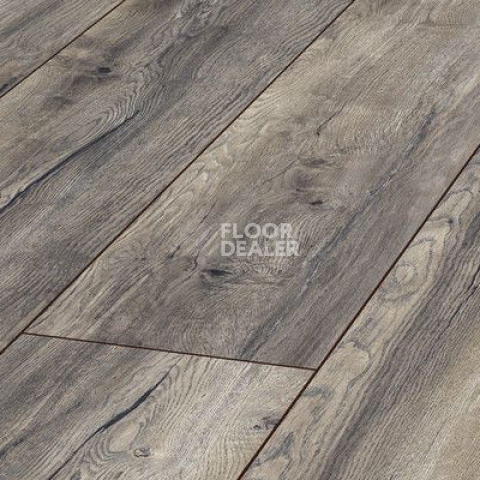 Ламинат Kronotex Exquisit Plus d3572 Дуб Портовый Серый фото 1 | FLOORDEALER