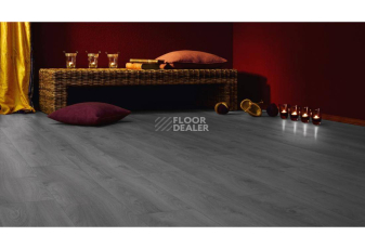 Kronotex Mammut Plus d3670 Дуб Макро Светло-серый фото 4 | FLOORDEALER