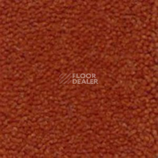 Ковролин Infloor Cliff 700 фото 1 | FLOORDEALER