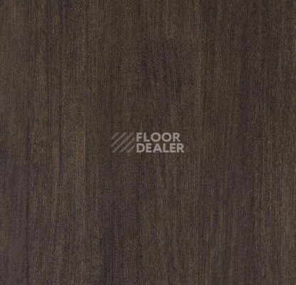 Линолеум Forbo SureStep Wood Decibel 71805 фото 1 | FLOORDEALER