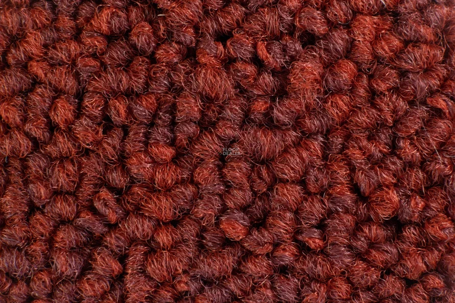 Tecsom Prima 00097 фото 2 | FLOORDEALER