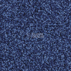 Ковролин Balsan Script 160 фото 1 | FLOORDEALER