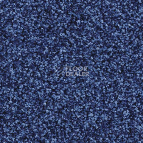 Ковролин Balsan Script 160 фото 1 | FLOORDEALER