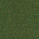 Ковролин Desso Champion 7843  | FLOORDEALER
