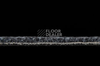 IVC Alternate 569 фото 4 | FLOORDEALER