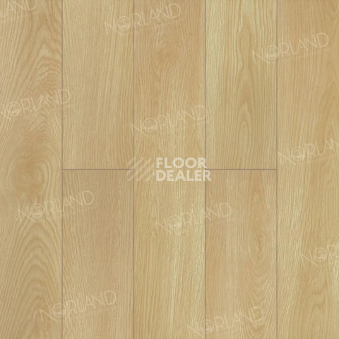 Ламинат Norland Elegant 8мм Дуб Тасмания LF301-04 фото 1 | FLOORDEALER
