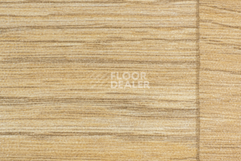 Линолеум Forbo SportLine Standart Fr 5802 фото 1 | FLOORDEALER
