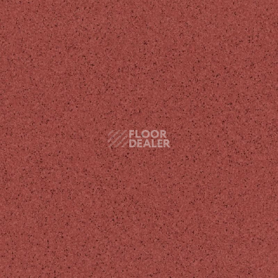Линолеум Tarkett Primo Plus Depot Primo 306 фото 1 | FLOORDEALER