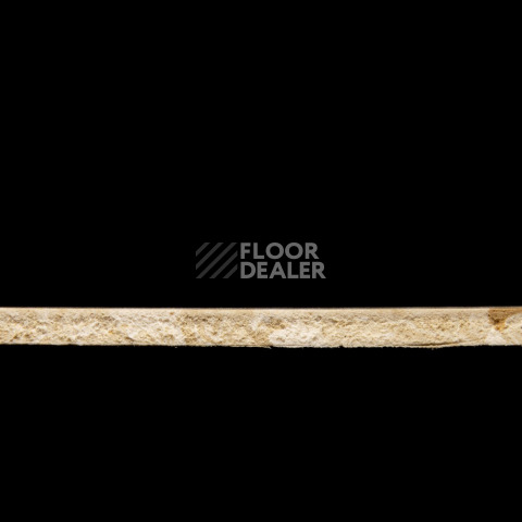Tarkett Primo Plus 302 фото 3 | FLOORDEALER