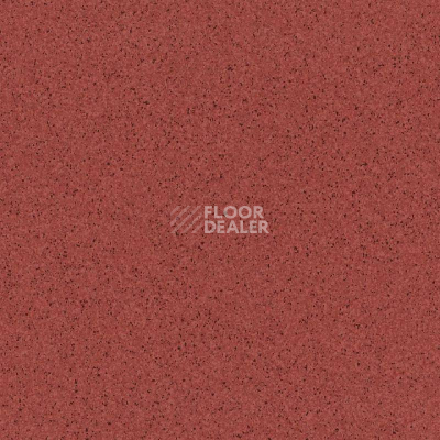 Линолеум Tarkett Primo Plus 306 фото 1 | FLOORDEALER