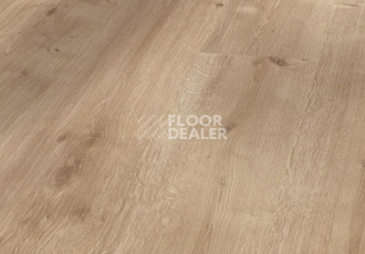 Ламинат Parador Basic Plus 200 V 1593997 Дуб Шлифованный фото 1 | FLOORDEALER
